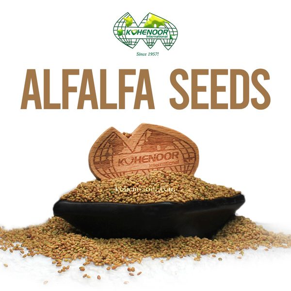 Alfalfa Seeds — KN92 + Taiztar varieties