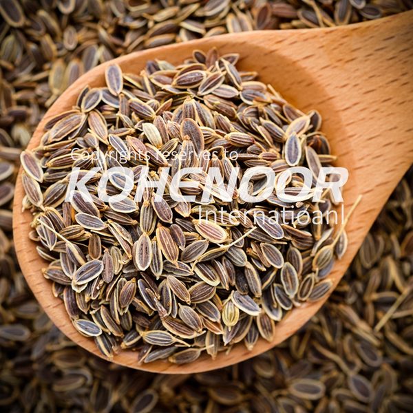Dill Seeds — consumption grade