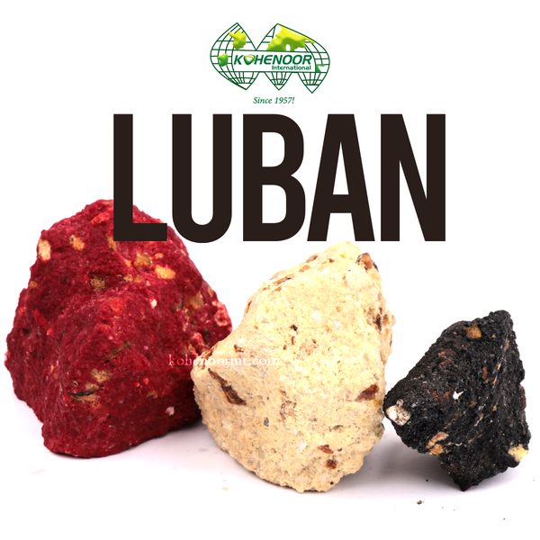 Luban — Frankincense / Javi Bakhoor